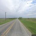 Loose cows creating road hazard on FM 1099