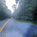 Tree blocking road prevents access to elderly man