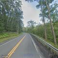 Bear reported near Otis and Blandford town line