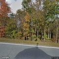 Deer blocking roadway on Piney Grove Church Road