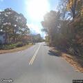 Dog walking in roadway on River Street