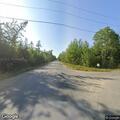 Dead bear in road with mother nearby in bushes