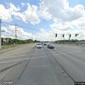 Large snapping turtle blocking roadway