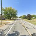 Turtle blocking traffic on State Route 571