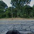 Animal put down on Canton Street after one shot