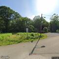 Tree on utility wires along Brown Run Road