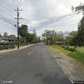 Deer blocking eastbound lane on Walnut Boulevard