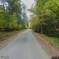 Small tree removed from phone lines on Maxwell Road