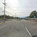 Brown pit bull loose near Potter and Tiogue