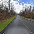 Dead deer blocking lane on Alcoma Boulevard