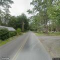 Loose medium-sized dog on Tall Pines Road