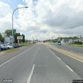 Dead cat on roadside near Smyrna restaurant