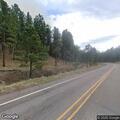 Lightning-caused tree fire near Highway 4 in Jemez