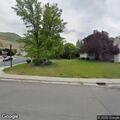 Feral cat reported inside Lindon residence