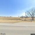 Loose cows reported in cornfield near Highway 63
