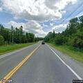 Moose blocking roadway near Station Road