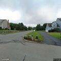 Loose dog reported in roadway on Weber Road