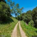 Male with diarrhea and breathing issues on Edwards Creek Trail