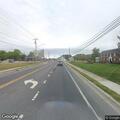Animal struck by vehicle on Atlantic Avenue