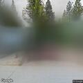 Vegetation fire on Willow Glen Road