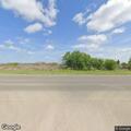 Loose livestock on roadway near FM 140 in Christine