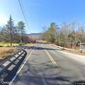 Loose dog running in roadway on Route 25A