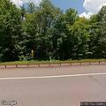 Tree hanging into lane on Route 28 near Glenford