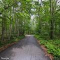 Low hanging branch reported on Griggs Road