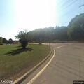 Dead deer blocking road near Calvary Cemetery
