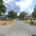 Loose pit bulls chasing cats on Fifth Street