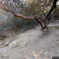 Response canceled for Car Wreck Trail incident
