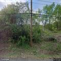 Large fallen tree blocks Falcon Lane traffic