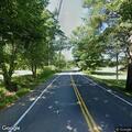 Dog loose on road near Knights Pond Road