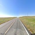 Calf reported along Highway 71 near mile marker 232