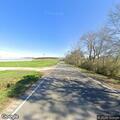 Cow blocking roadway on AL-51 in Ariton