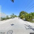 Palm tree brushing power line causing small sparks