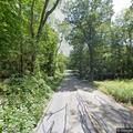 Tree blocking road on Pine Orchard Road