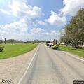 Alligator reported near FM 442 by egg farm