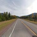 Vehicle hits bear on Highway 2 near Essex