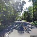 Tree tangled in utility lines on Magnolia Road