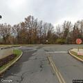 Deer blocking travel lane on Route 1