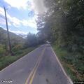 Tree blocking South Turkey Creek Road