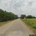 Loose cows on County Road 132
