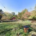 Active physical domestic near Pine Street in Mulkeytown