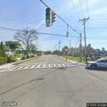 Large deer causing traffic hazard on roadside