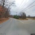 Animal blocking road near Herricks Cove Road