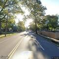 Tree branch blocking sidewalk on South Martine