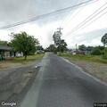 Animal blocking roadway on Gold Oak Road