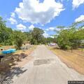 Stray dogs reported following woman on Bluewing