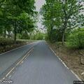 Downed tree branch causing traffic hazard